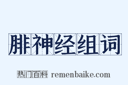 腓神经组词是什么意思的图片